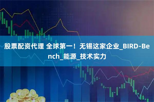 股票配资代理 全球第一！无锡这家企业_BIRD-Bench_能源_技术实力