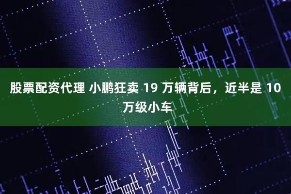股票配资代理 小鹏狂卖 19 万辆背后，近半是 10 万级小车